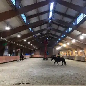 LED verlichting voor paardentraining