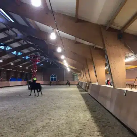 LED verlichting voor paardentraining